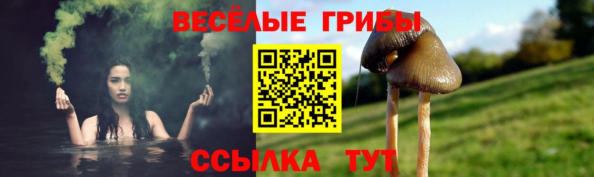 Псилоцибиновые грибы Magic Shrooms  Псилоцибиновые грибы мухоморы  Вход с VPN  Усть-Джегута 